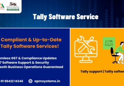 Tally-software-service
